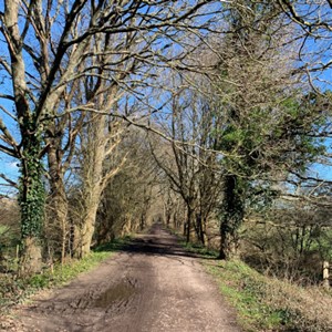 Long straight old railway line path