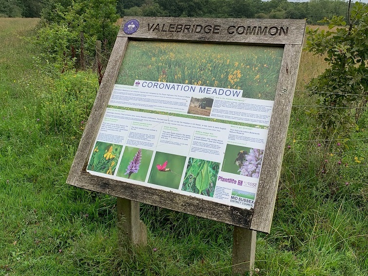 Coronation Meadow Bedelands Copy