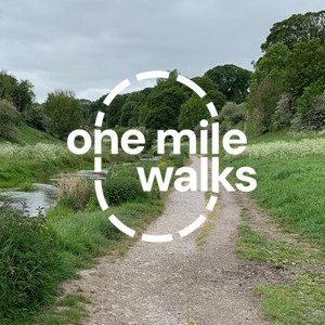 One MIle Walks Bradford Dale 1