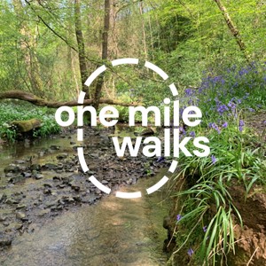 One Mile Walks Get Involved