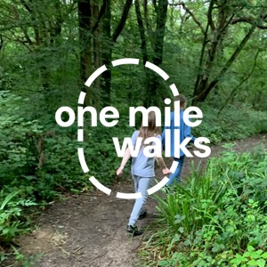 One Mile Walks The Walks
